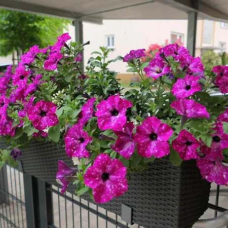 Ferienwohnung, 1-zimmer, 1-3 Personen, 31 Qm, Mit Balkon, In Ruhige Lage, Direkt An Der Aach